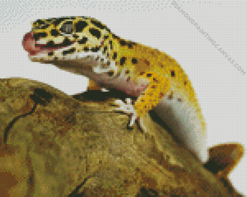 Leopard Gecko Diamond Painting