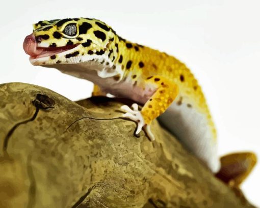 Leopard Gecko Diamond Painting