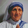 Mother Teresa Catholic Nun Diamond Painting