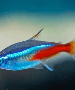 Neon Tetra Fish Diamond Painting