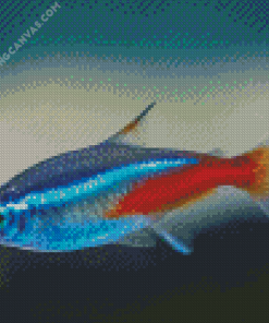 Neon Tetra Fish Diamond Painting