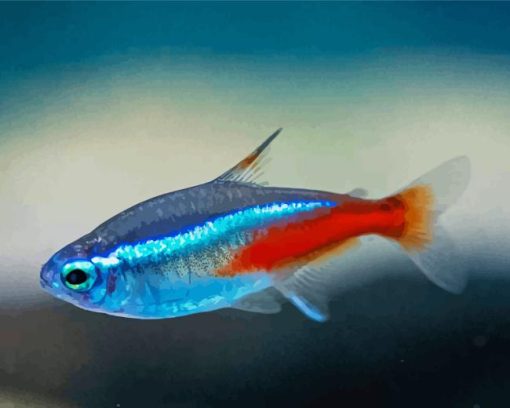 Neon Tetra Fish Diamond Painting