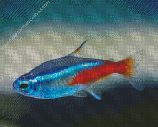 Neon Tetra Fish Diamond Painting