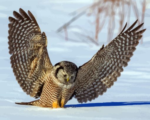 Northern Hawk Owl Diamond Painting