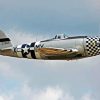 P47 Thunderbolt Diamond Painting