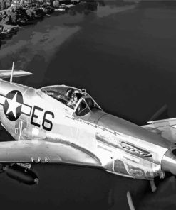 P51 Mustang Plane Diamond Painting