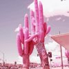 Pink Cactus Plants Diamond Painting