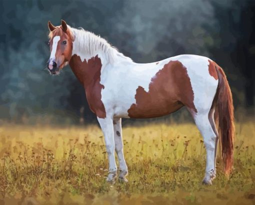 Pinto Horse Diamond Painting