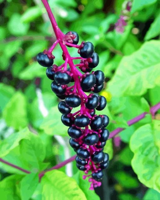 Pokeweeds Fruit Diamond Painting