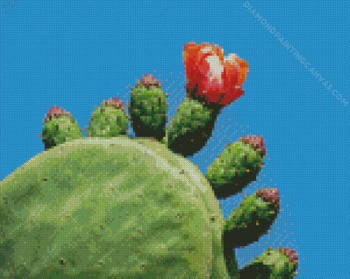 Prickly Pear Diamond Painting