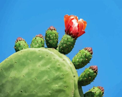 Prickly Pear Diamond Painting