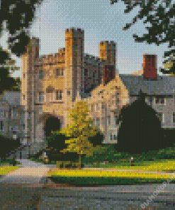 Princeton University New Jersey Diamond Painting