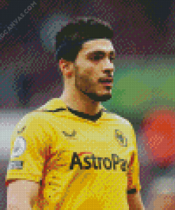 Raul Jimenez Diamond Painting