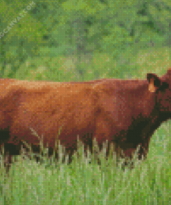 Red Cattle In Field Diamond Painting