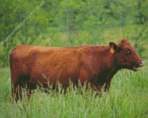 Red Cattle In Field Diamond Painting