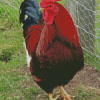 Rhode Island Red Diamond Painting