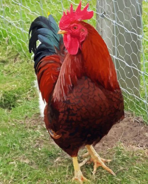 Rhode Island Red Diamond Painting