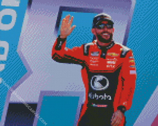 Ross Chastain Diamond Painting