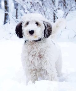 Sheepadoodle Diamond Painting