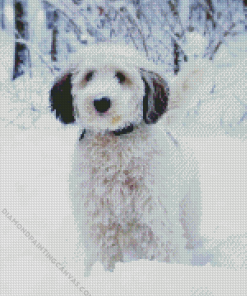 Sheepadoodle Diamond Painting