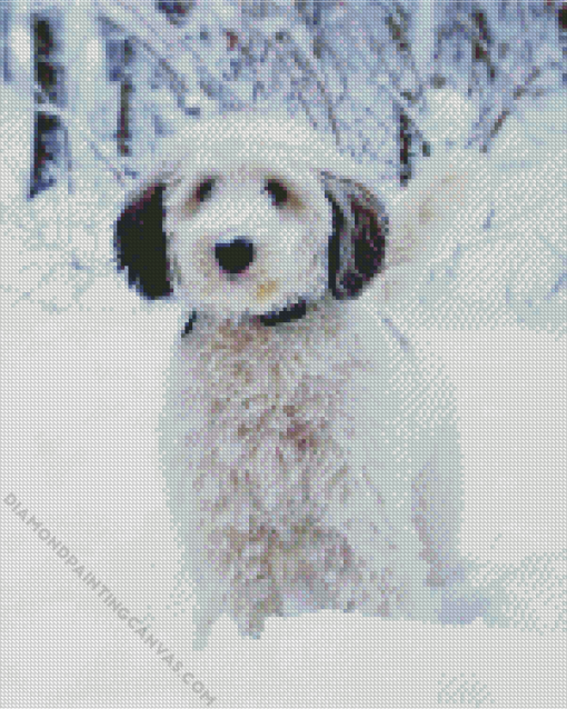 Sheepadoodle Diamond Painting