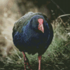 Takahe Rail Diamond Painting