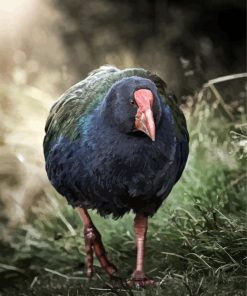 Takahe Rail Diamond Painting