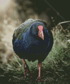 Takahe Rail Diamond Painting