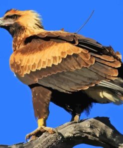 The Wedge Tailed Eagle Diamond Painting