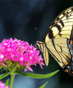 Tiger Swallowtail Diamond Painting