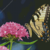 Tiger Swallowtail Diamond Painting