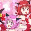 Tokyo Mew Mew New Diamond Painting