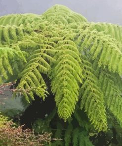 Tree Fern Diamond Painting