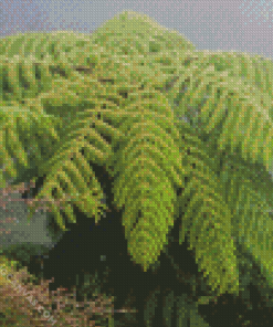 Tree Fern Diamond Painting