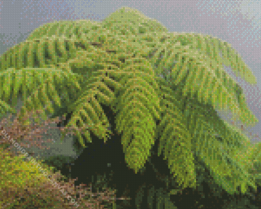 Tree Fern Diamond Painting