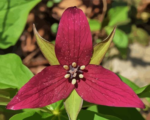 Trillium Red Flower Diamond Painting