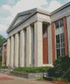 University Of Georgia Diamond Painting