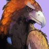 Wedge Tailed Eagle Diamond Painting