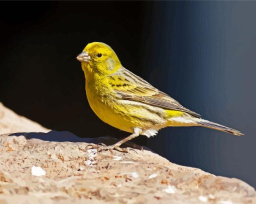 Yellow Canary Diamond Painting