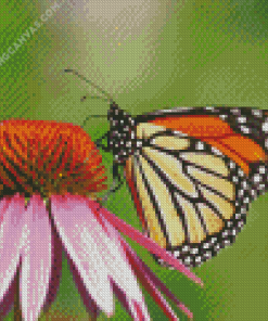 Beautiful Monarch Butterfly Diamond Painting