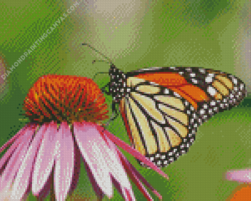 Beautiful Monarch Butterfly Diamond Painting