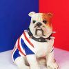 British Bulldog Diamond Painting