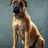 Bullmastiff Diamond Painting