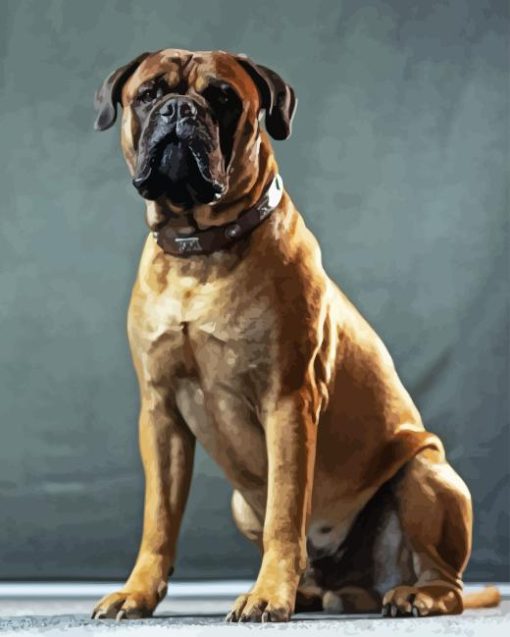 Bullmastiff Diamond Painting