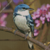 Cerulean Warbler Diamond Painting