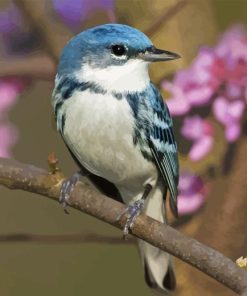 Cerulean Warbler Diamond Painting