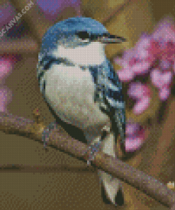 Cerulean Warbler Diamond Painting