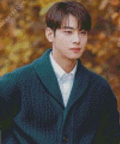 Cha Eun Woo Diamond Painting