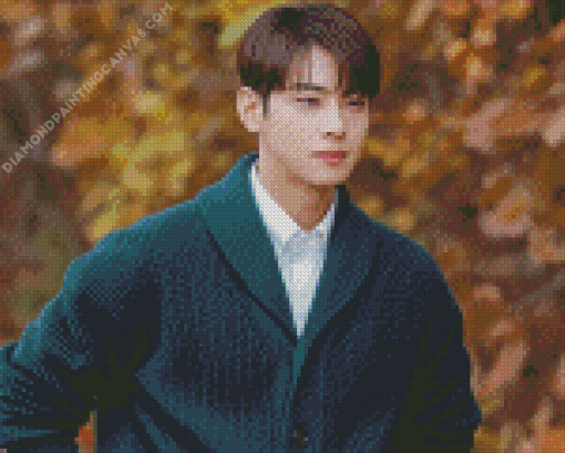 Cha Eun Woo Diamond Painting