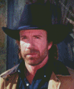 Chuck Norris Diamond Painting